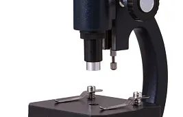 Подкованная блоха под микроскопом