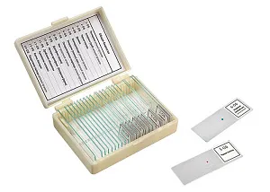 Набор микропрепаратов Микромед «Общая биология», 14 образцов, изображение 1