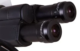 Шотландский физик, придумавший поляризатор