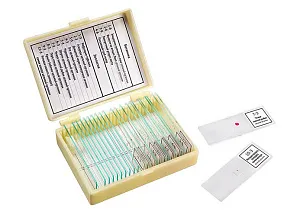 Набор микропрепаратов Микромед «Ботаника и зоология», 14 образцов, изображение 1