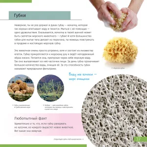 Книга знаний «Невидимый мир», изображение 7