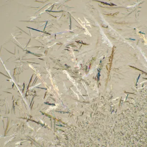 Микроскоп биологический цифровой MAGUS Bio D230T, изображение 26