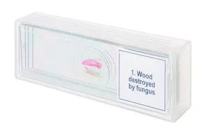 Набор микропрепаратов Levenhuk Discovery Prof DPS 5. «Мутации», изображение 4