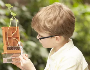 Набор 4M 00-03352 «Умные растения», изображение 3