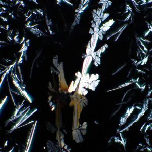 Устройство простой поляризации MAGUS SPD2, изображение 5