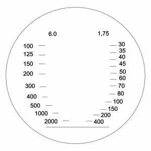 Бинокль БПЦс 10x40 «Хантер», камуфляж, изображение 5